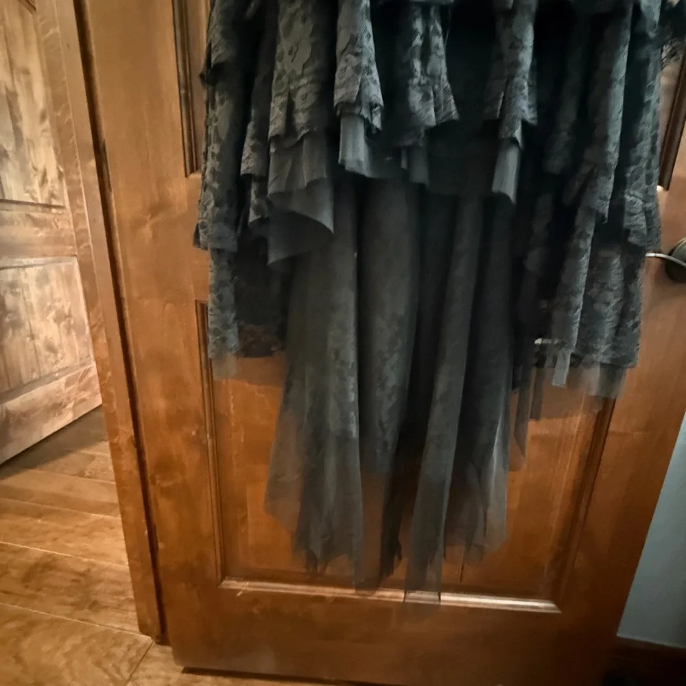 NWT Burlesque Dress Costume - Picture 3 of 5